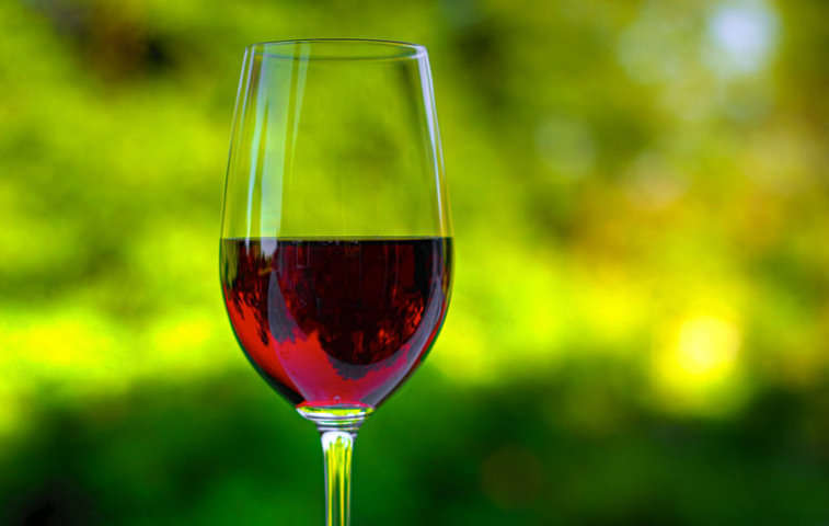 Sofisticado tuberculosis fusión En qué copa debo tomar el vino? La importancia de...