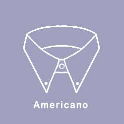 etiqueta Arne cavar Cuello Americano Camisa